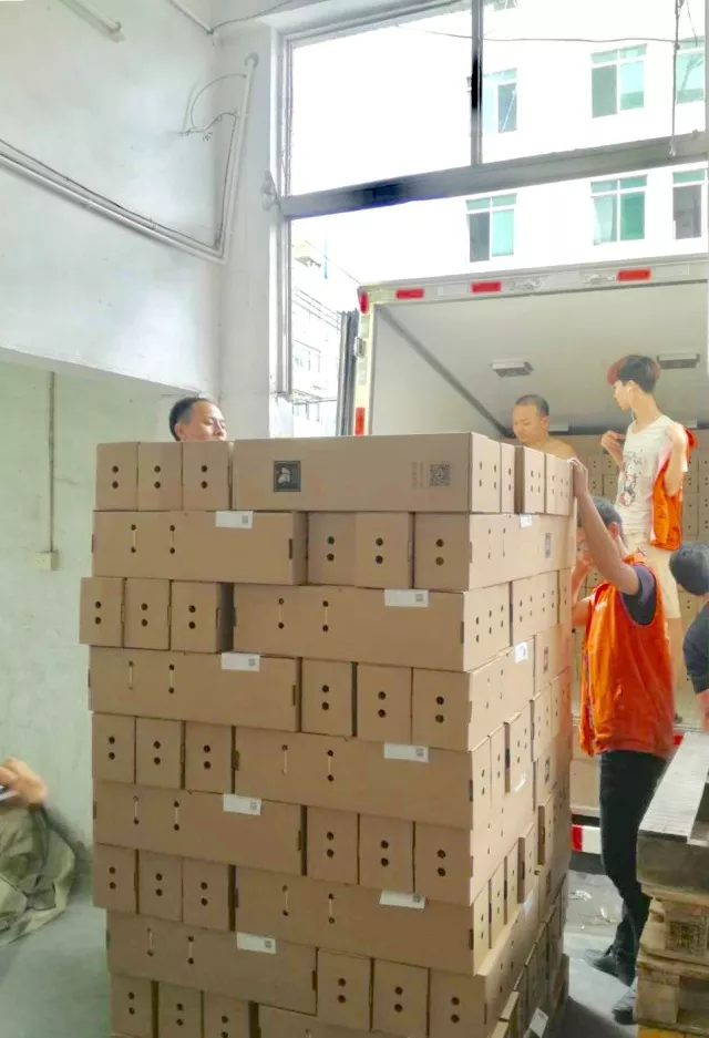 喜报| 聚联物流与南方报业传媒集团冷链鲜花项目运输正式启动!